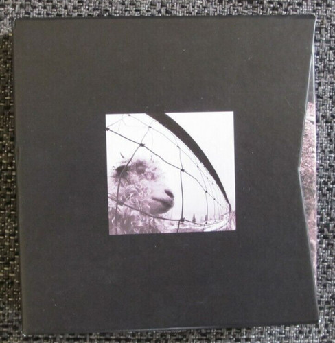 Pearl jam vitalogy - jam,
