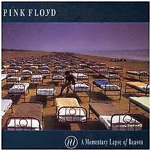 A Momentary Lapse of Reason