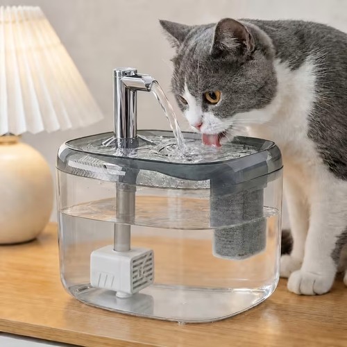 Usb trinkbrunnen - 5l,