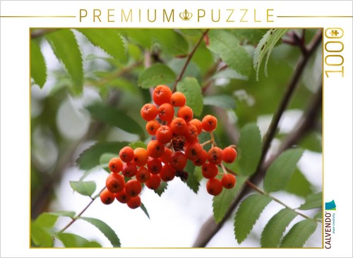 Calvendo puzzle eberesche - calvendo,