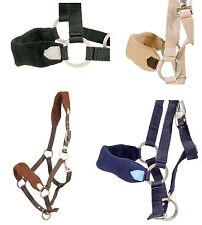 Halfter von Pfiff für Pony