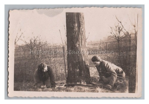 Person sawing tree vintage - tree,