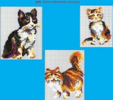 Mini Stecksystem Kätzchen XXL