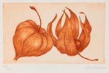 Christine Arweiler Physalis