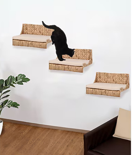 Silvio katzen kletterwand - silvio,
