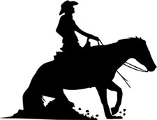 Aufkleber Pferd - Pferdesport