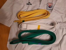 Dobok, Sportanzug Taekwondo