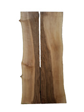 1x Nussbaum Ast Bohle Brett