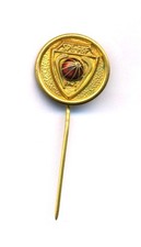 Vintage-Anstecknadel des