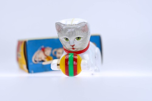 Seltene weisse katze - seltene,