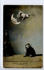 (Gd1487) Kätzchen, Hey Diddle