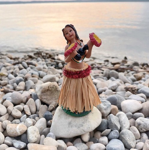 Hawaii wackel hula mädchen - wackel,