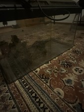 Aquarium 40*25*25