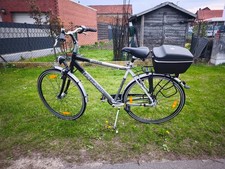 Trekking Bike Pegasus Solero