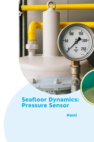 Nami seafloor dynamics - |,