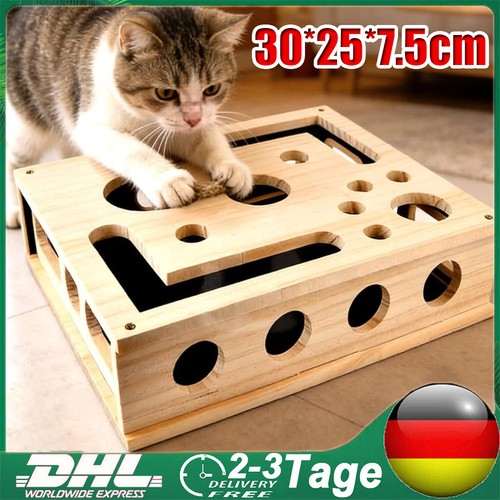 Katzen krallenpflege - katzen,