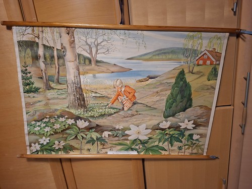 Konvolut von schulkarten - von,