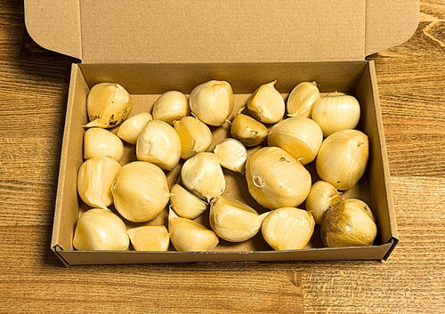 Zehen elefantenknoblauch - 25,