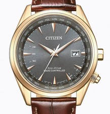 Citizen WORLD PERPETUAL