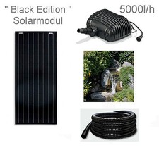 100W Solar Teichpumpe