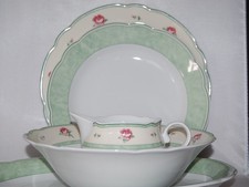 Speiseservice 6 Personen 15tlg. Romantisches Rosen grün beige rosa TCM Tchibo 