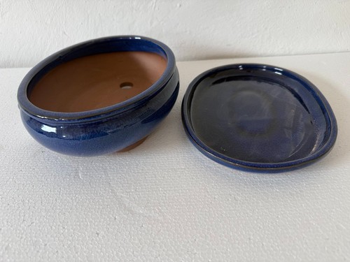 Bonsaischale oval bonsaitopf - oval,