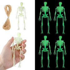 DIELIANHUA 8Pcs Mini Skelett