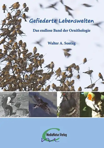 Gefiederte lebenswelten - gefiederte,