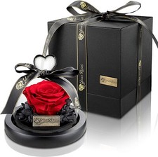 Konservierte Rose im Glas -