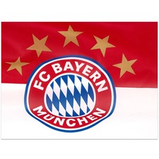 FC Bayern München Logo Fahne