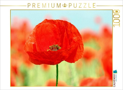 Calvendo puzzle mohnblumen ein - puzzle, mohnblumen-ein