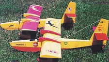 Albatross Doppel Elektrisch