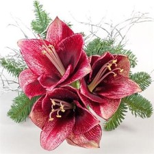 20 Servietten Blumen Christmas