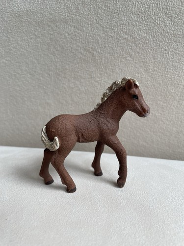 Pferd fohlen von - fohlen,