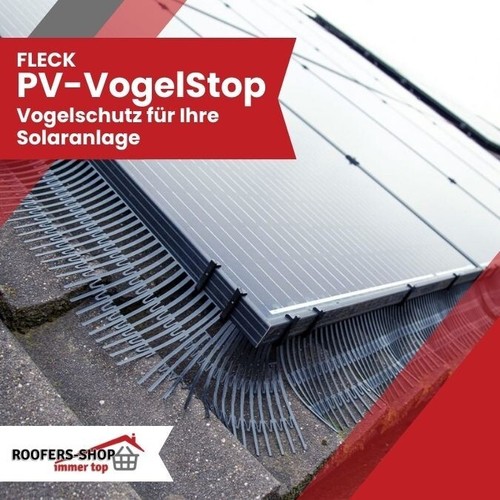 Vogel stop von fleck - pv-vogel,
