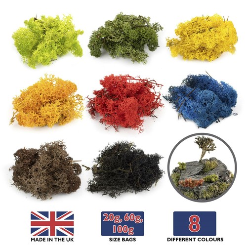 Wws lichen flechte - wws,
