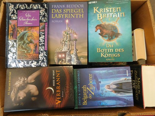 Bücher fantasy romane - , tad