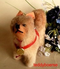 alter Hund Chow Chow • Teddy