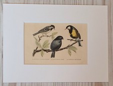 1852 Lithographie Kunstdruck