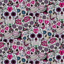 Wassertransferdruck Folie Pink Skulls - 50cm breit