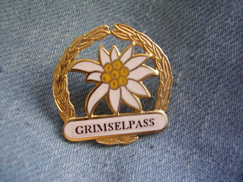 Pin grimselpass mit - pin,