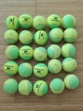 Kinder-Tennisbälle 25 Stück guter Zustand Signum Pro grün für Kinder 9-10 Jahre