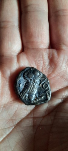 Attika eule tetradrachme - eule,