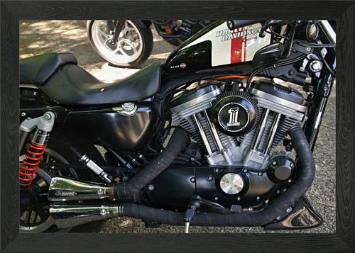 Harley davidson racing - harley,
