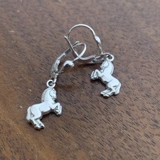 Ohrringe Echtsilber Silver
