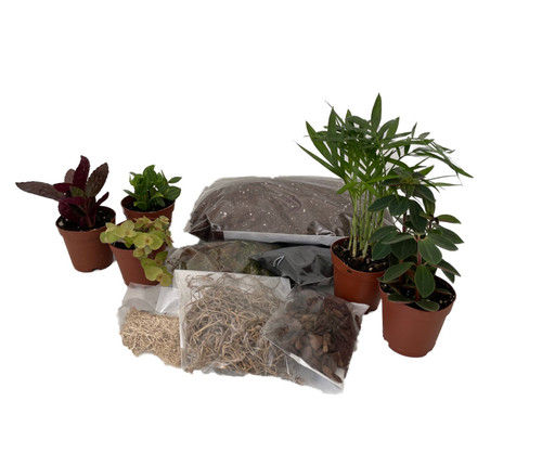 Terrarium kit with - kit,