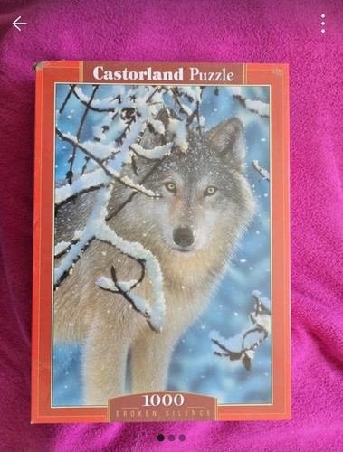 Castorland puzzle 1000 teile - puzzle,