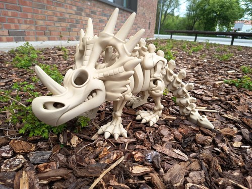 Styracosaurus ähnl