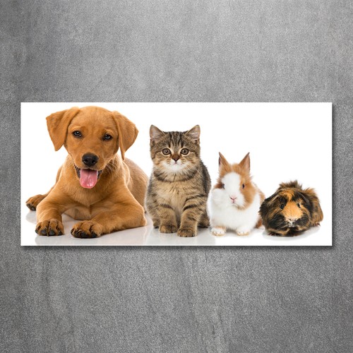 Wandbild aus plexiglas druck - wandbild,