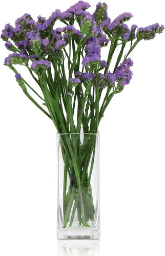 Vase rechteckig - x,